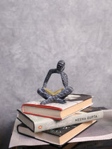 Shadow-Touched Scholar