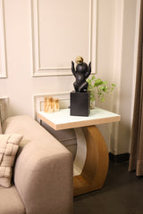 Abstract Sentinel (Black)