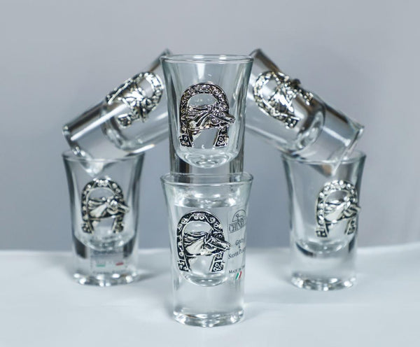 Horse Shoe Shot Glasses